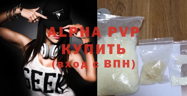 стаф Вяземский
