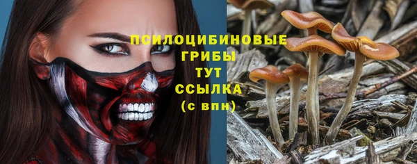 прущий лед Армянск