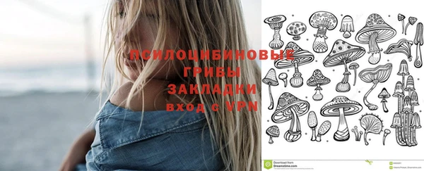 прущий лед Армянск