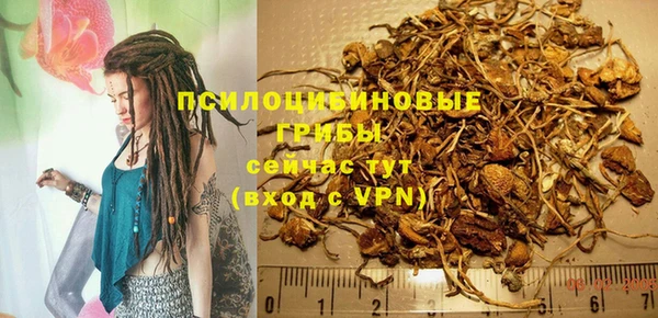 крисы Аркадак