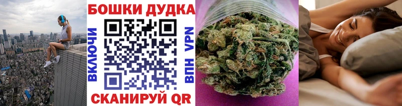 Конопля сатива  Белогорск 
